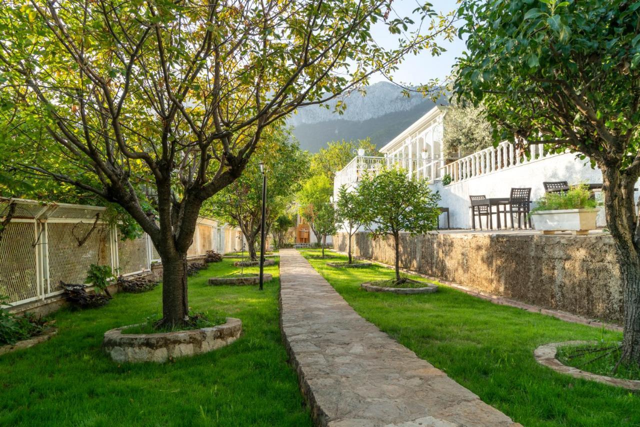 אנטליה Apa Mountain Lodge מראה חיצוני תמונה
