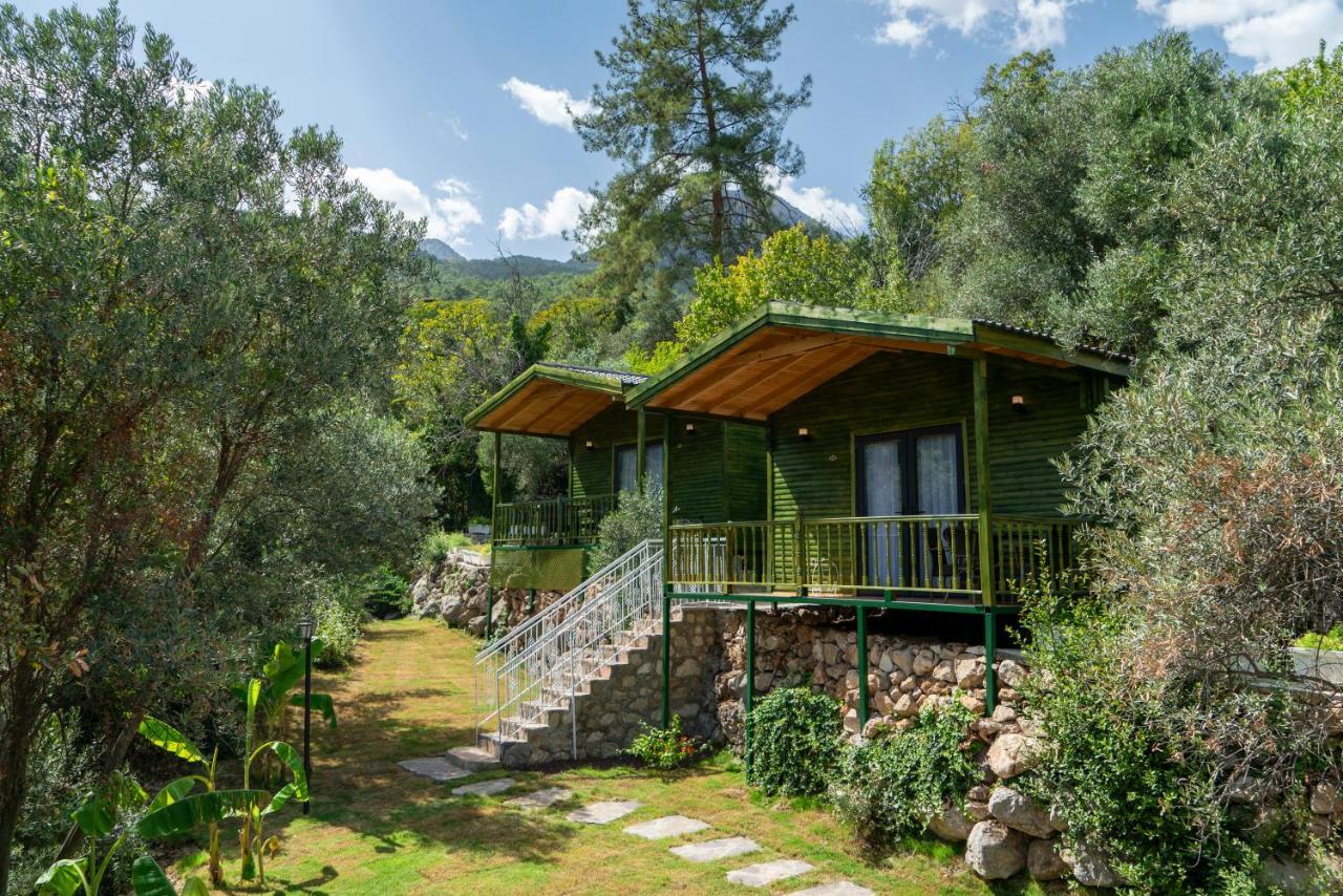 אנטליה Apa Mountain Lodge מראה חיצוני תמונה